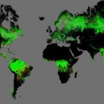 The Assumption Of Palm Oil As The Cause Global Deforestation Is Completely Wrong