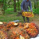 Export Rises, Stock Returns To Normal