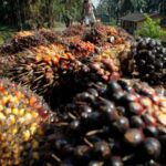March 2023: Production Picks Up, Stock Surges