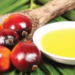 SVOC: Vegoils Producers To Ensure Food And Energy Security